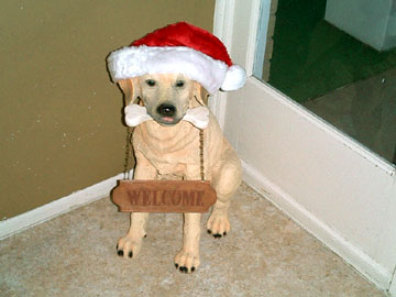 クリスマス犬