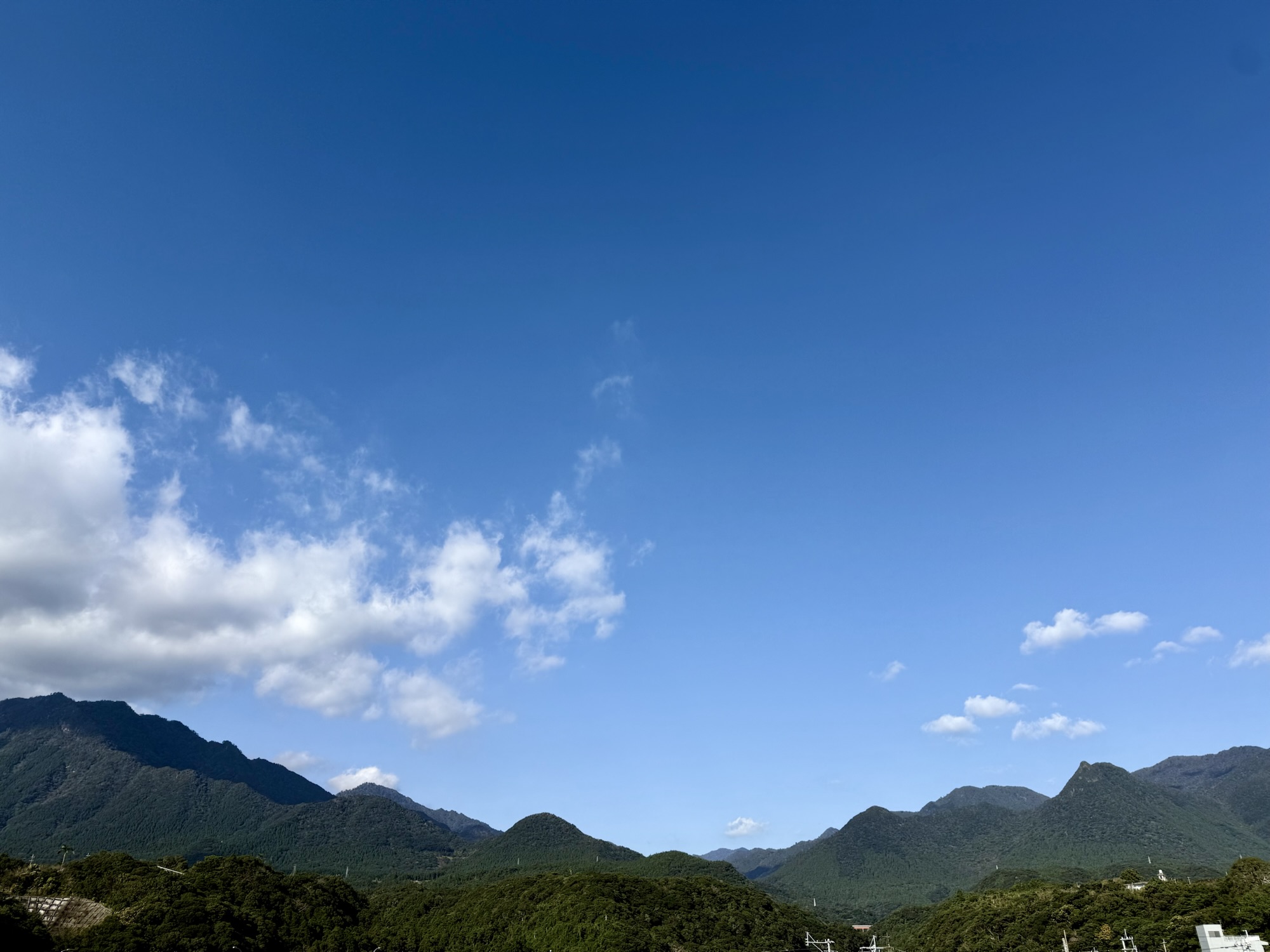 2025年の振り返り